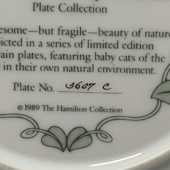 Young Explorer by Charles Fracé  Small Wonders of the Wild Plate # 3607 C - Picture 12 of 13